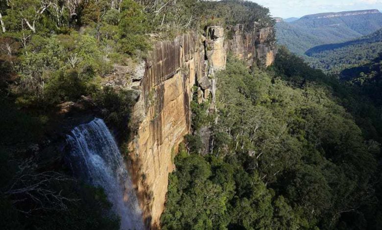 Um rochedo, com uma cachoeira e árvores formando uma floresta