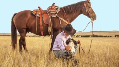 Lucky Lou agachado brincando com um cachorro aos pés de seu cavalo. Esta é sua história